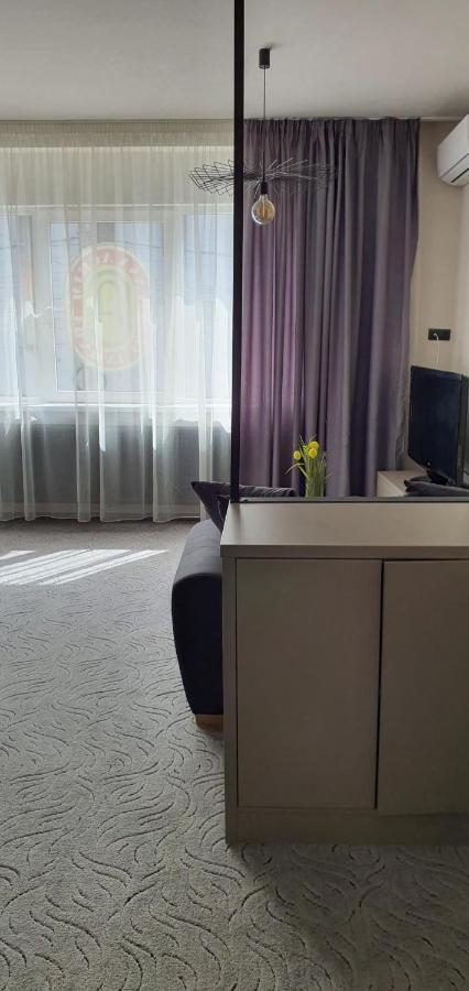 Casa Achim Hotel Baia Mare Luaran gambar